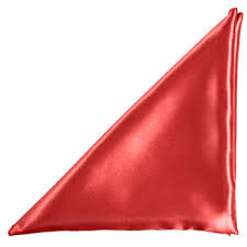 20x20 Satin Napkin - Color